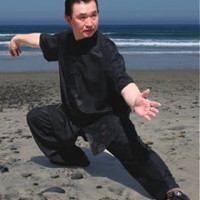 Pravidla pro studium kung-fu