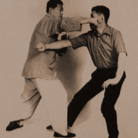 Bojové prvky v Yang Tai Ji Quan (Tai Chi Chuan)