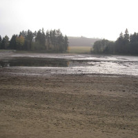 2008 - říjen Zubří