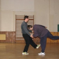 2006 - Tai Chi - Brno.
