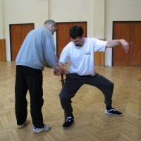 2006 - Tai Chi - Brno.