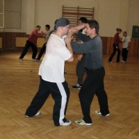 2006 - Tai Chi - Brno.