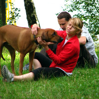 2008 - letní kemp